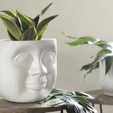 UNWAVERED LOVE - KIDS