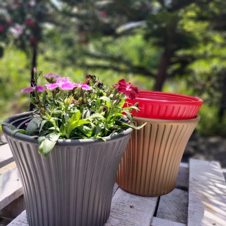 Sunrise Planter -Large (Set of 3pcs)