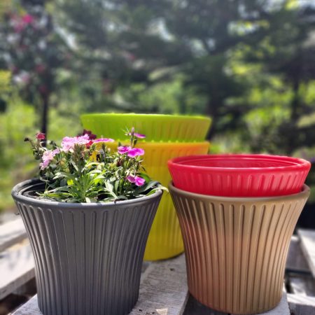 Sunrise Planter -Small (Set of 5pcs)
