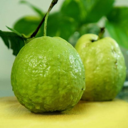 Thai Guava