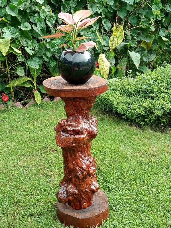 Single Holder Stand 100 Year Old Tree Trunk Furniture Bangalore