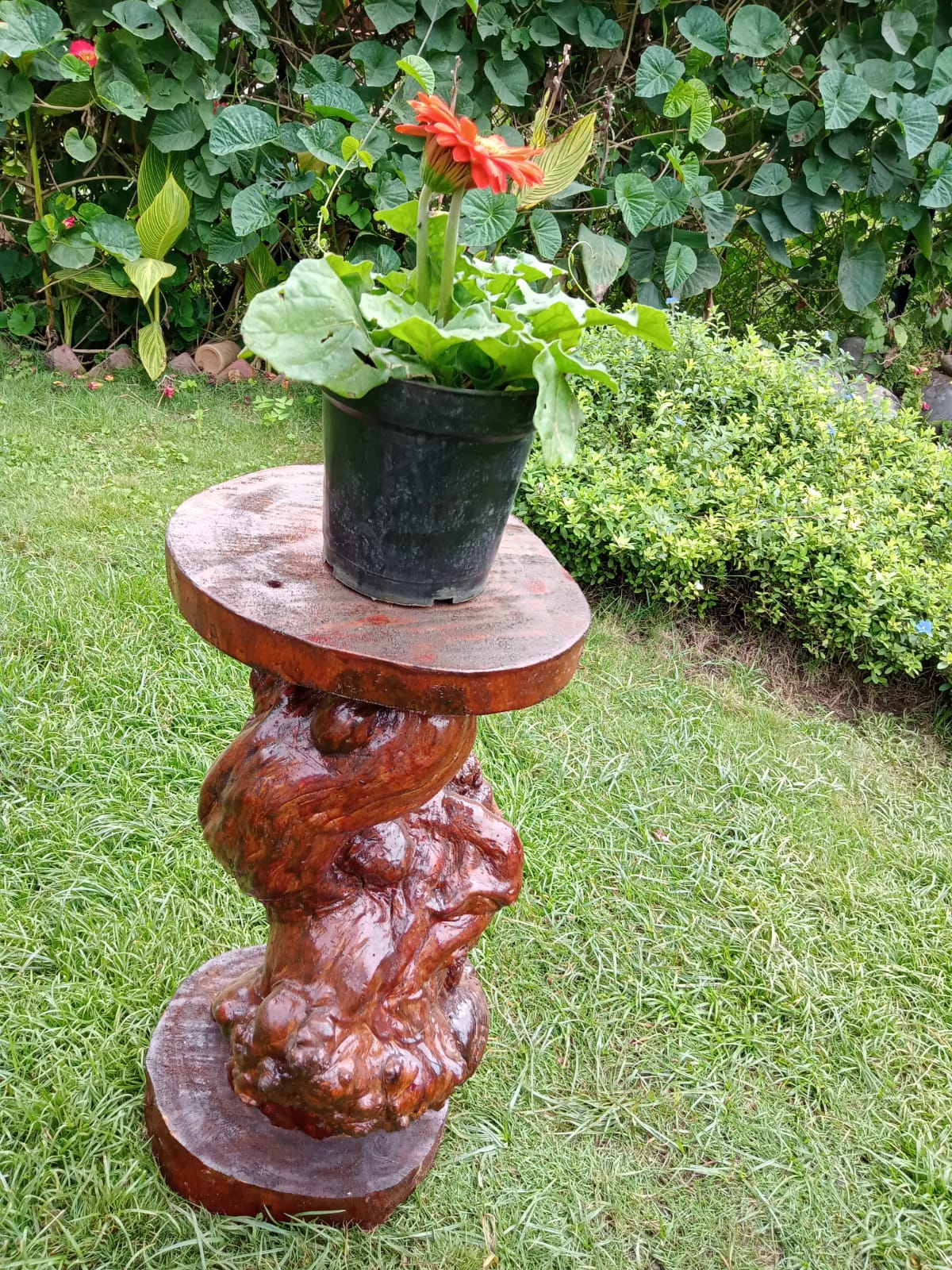 Best Garden Decor Bangalore Tree Trunk Stand. All Bangalore Delivery