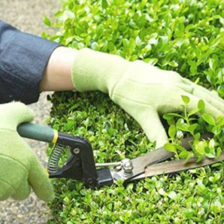 MMG Garden Maintenance Plans