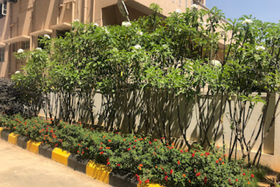Office Green Spaces