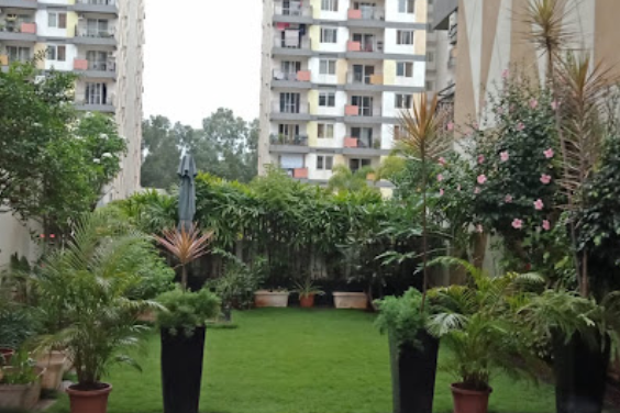 Apartment and Society Garden